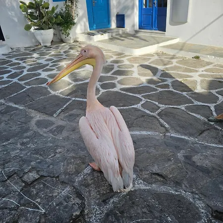 Solo Apartman Mykonos Town