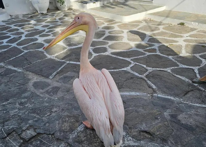 Solo Apartament Mykonos Town